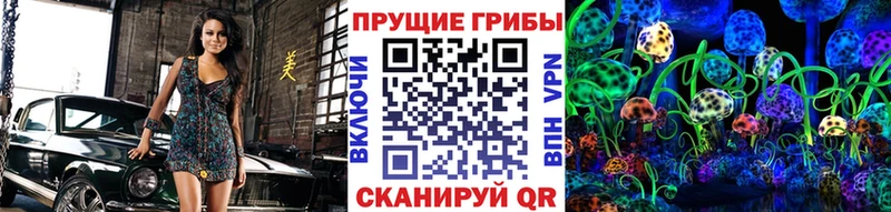Псилоцибиновые грибы Cubensis  закладка  Киренск 